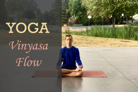Yoga Vinyasa Flow - Michael Schmid